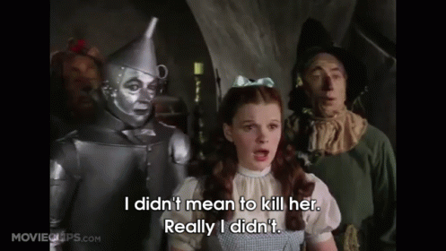 Wizard Of Oz Dorothy Saying I Didn't GIF