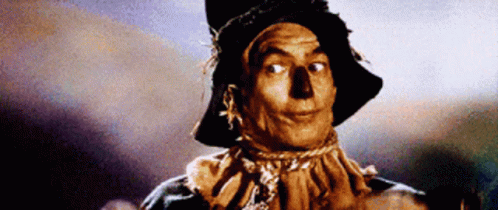 Wizard Of Oz Energetic Bum Scarecrow GIF