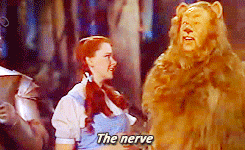 Wizard Of Oz Scene With Lion Saying The Nerve GIF