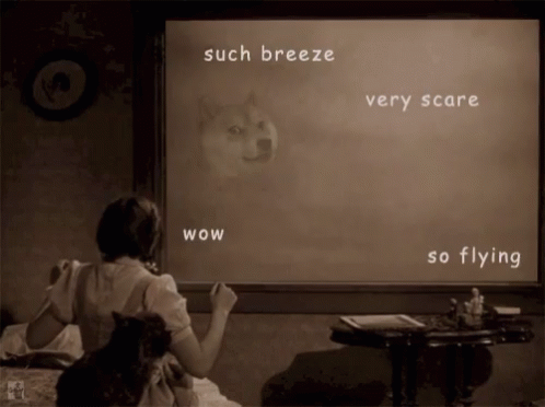 Wizard Of Oz Tornado Wow Dog Meme GIF