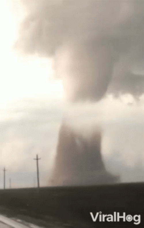 Wizard Of Oz Tornado Monster Twister GIF