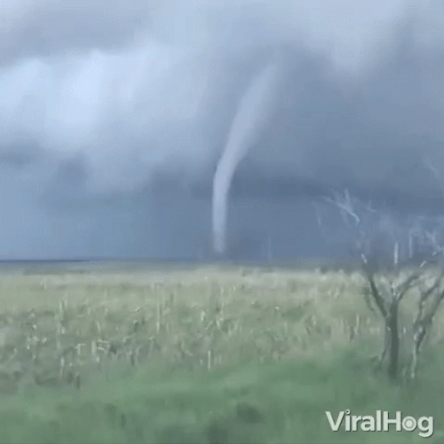 Wizard Of Oz Tornado Twister  GIF