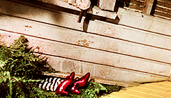 Wizard Of Oz Vanishing Ruby Shoes GIF