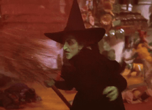 Wizard Of Oz Wicked Witch Dorothy Fighting GIF