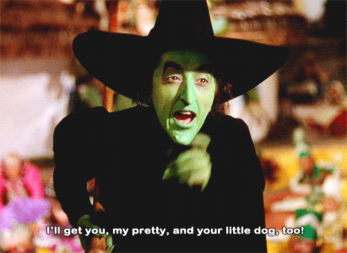 Wizard Of Oz Wicked Witch Threatening Dorothy GIF