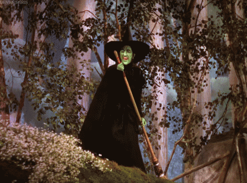 Wizard Of Oz Wicked Witch Vanishing Loop GIF