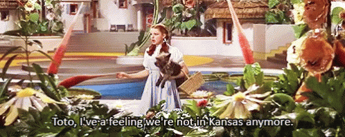 Wizard of Oz Woman Holding Cat Saying Toto
