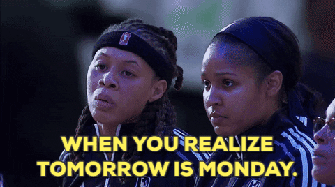 Wnba Great Players Finals GIF