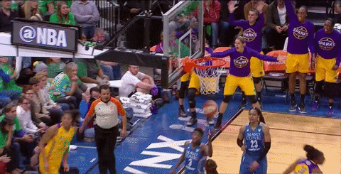 Wnba Sparks Cheering GIF