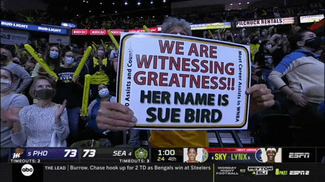 Wnba Supportive Fan GIF