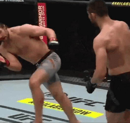 Wobbly Knockout Alistair Versus Pavlovich UFC GIF