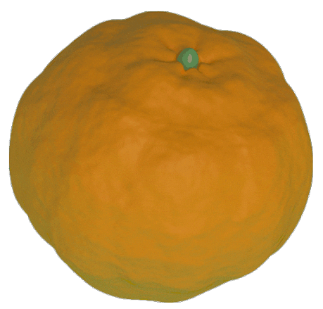 Wobbly Orange Jellygummies Animation GIF