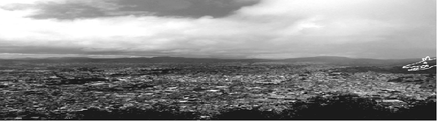 Wolf Doodle Gray Header GIF