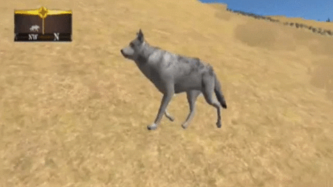 Wolf Gameplay Wolfquest GIF