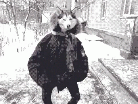 Wolf Head Man Dance GIF