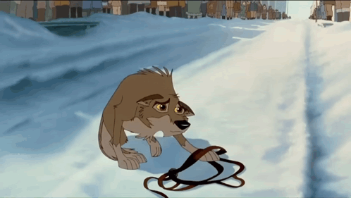 Wolf Holding Leash