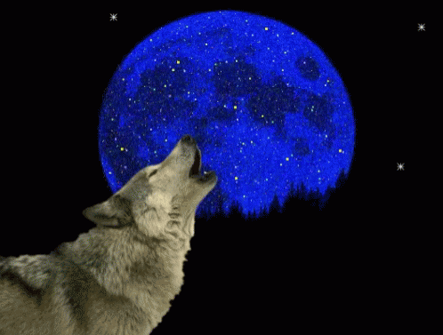 Wolf Howling at Blue Moon