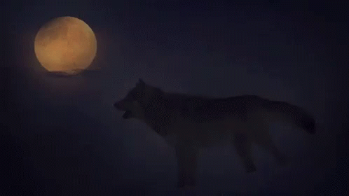 Wolf Howling at Full Moon