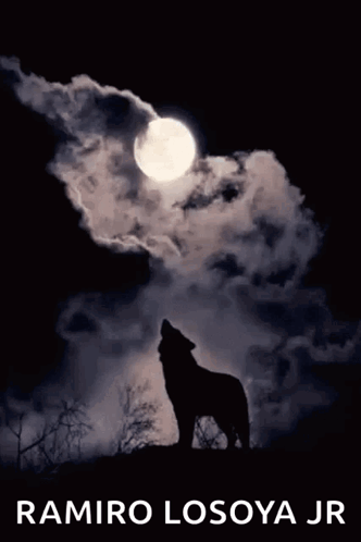 Wolf Howling at Full Moon