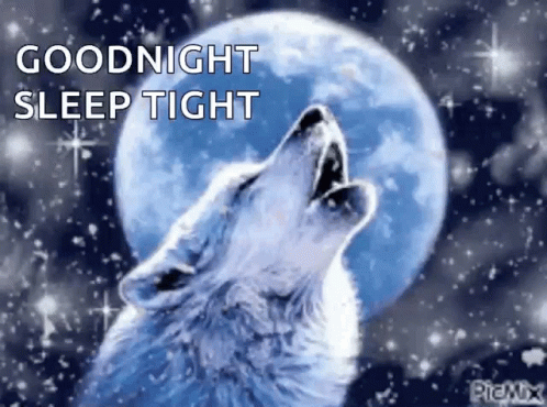 Wolf Howling at Moon Goodnight Sleep Tight