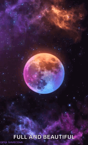 Wolf Howling at Moon with Flying Hamburger