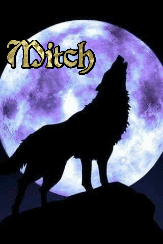 Wolf Howling at Purple Moon