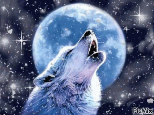 Wolf Howling at the Moon
