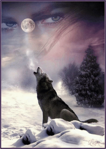 Wolf Howling Cool Animation Face In The Sky GIF