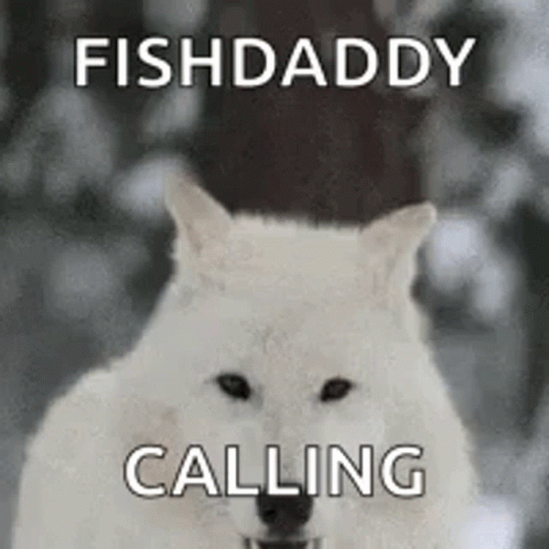 Wolf Howling Fish Daddy Calling GIF