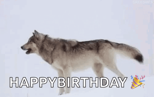 Wolf Howling Happy Birthday GIF