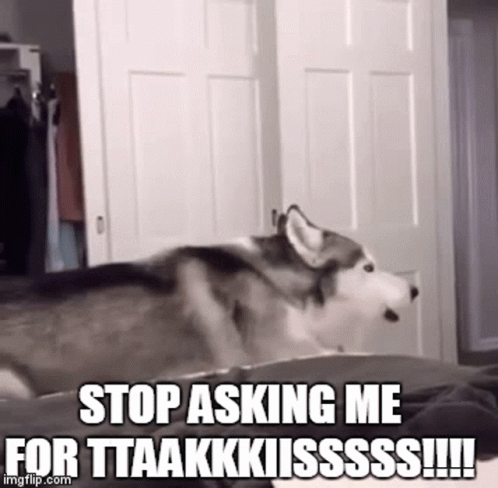 Wolf Howling Stop Asking Me For Takis GIF