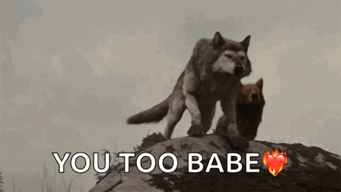 Wolf Howling You Too Babe GIF
