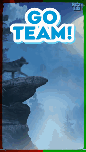 Wolf on Rock Go Team