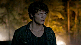 Wolf Pack Harlan Briggs GIF