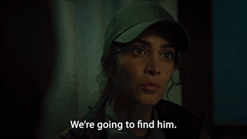 Wolf Pack Hollie Bahar GIF