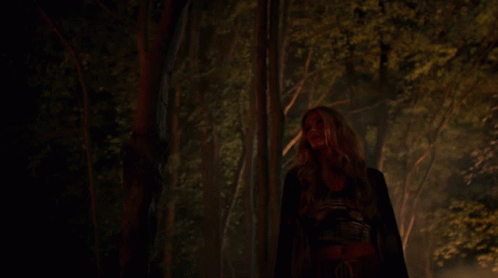 Wolf Pack Luna Looking Around GIF