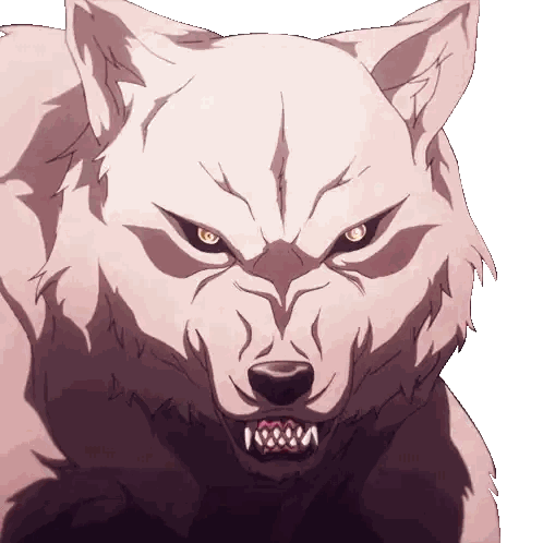Wolf's Face Close Up