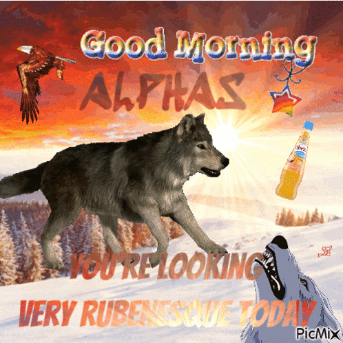 Wolf Saying Good Morning Alphas GIF