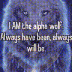 Wolf Saying I Am The Alpha Wolf Always Have Been Always Will Be