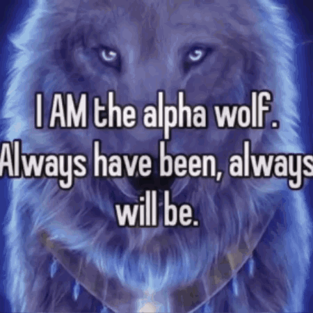 Wolf Saying I Am The Alpha Wolf Always Have Been Always Will Be GIF
