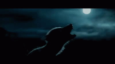 Wolf Silhouette Howling at Moon