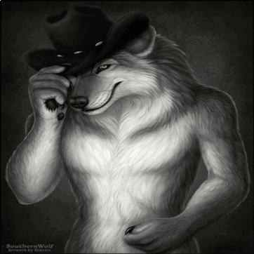 Wolf Wearing Cowboy Hat GIF