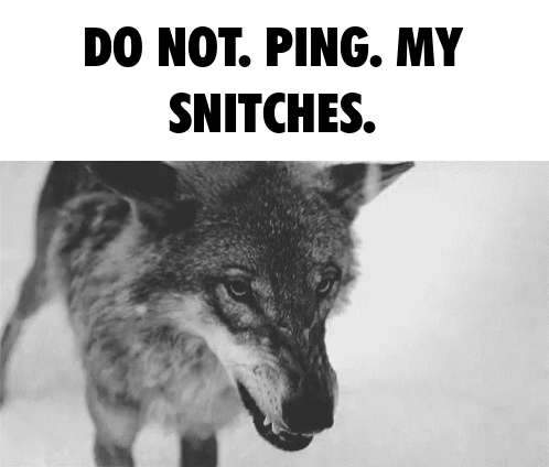 Wolf with Do Not Ping My Snitches