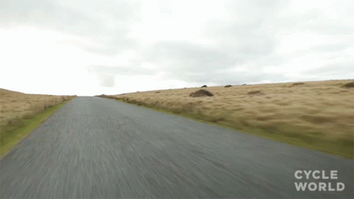 Wolf With Red And White Face GIF