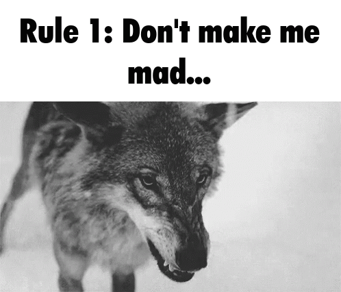 Wolf With Rule 1 Don't Make Me Mad GIF