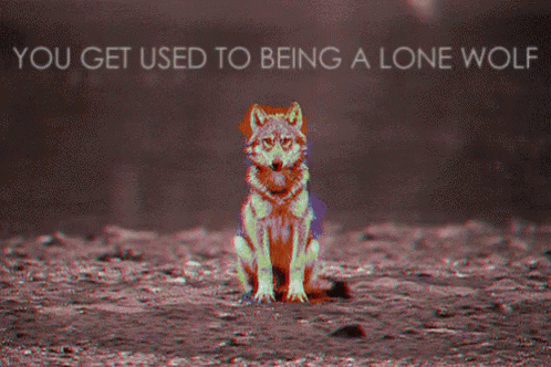 Wolf You Get Used to Being a Lone Wolf