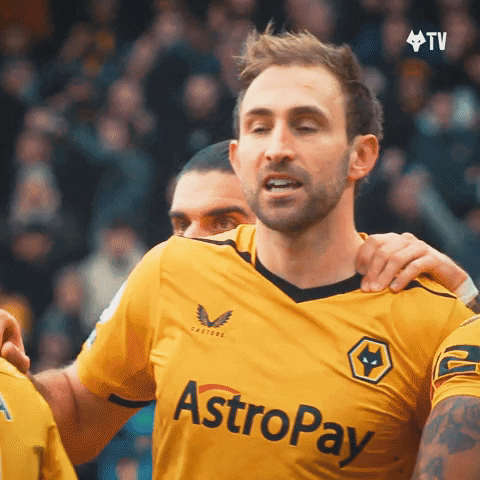 Wolverhampton Wanderers Craig Dawson Punching Air GIF