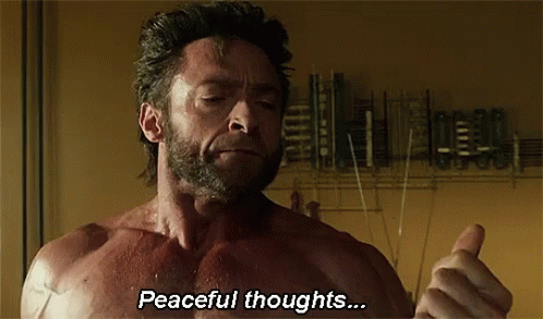 Wolverine Calm Peaceful Thoughts GIF