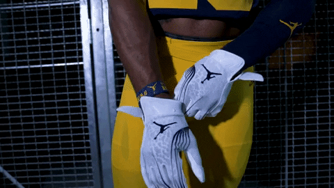 Wolverine Michigan Football Gloves Fixing GIF