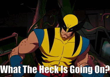 Wolverine What the Heck Is Going On